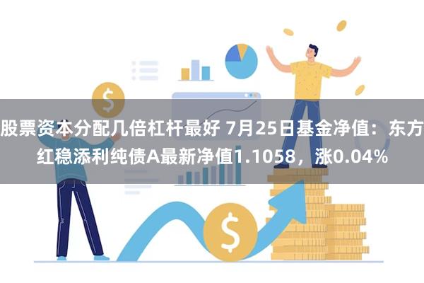 股票资本分配几倍杠杆最好 7月25日基金净值：东方红稳添利纯债A最新净值1.1058，涨0.04%