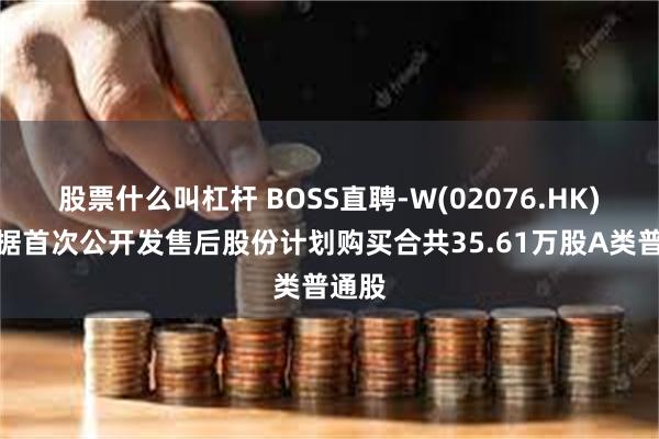 股票什么叫杠杆 BOSS直聘-W(02076.HK)：根据首次公开发售后股份计划购买合共35.61万股A类普通股