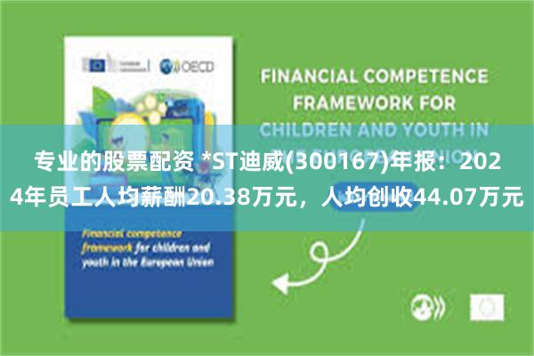 专业的股票配资 *ST迪威(300167)年报：2024年员工人均薪酬20.38万元，人均创收44.07万元