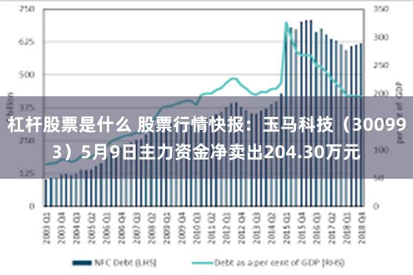 杠杆股票是什么 股票行情快报：玉马科技（300993）5月9日主力资金净卖出204.30万元