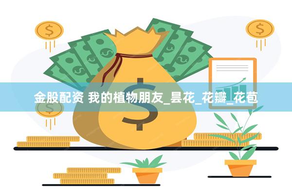 金股配资 我的植物朋友_昙花_花瓣_花苞