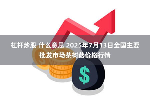 杠杆炒股 什么意思 2025年7月13日全国主要批发市场茶树菇价格行情