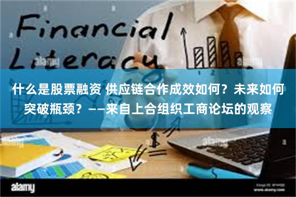 什么是股票融资 供应链合作成效如何？未来如何突破瓶颈？——来自上合组织工商论坛的观察