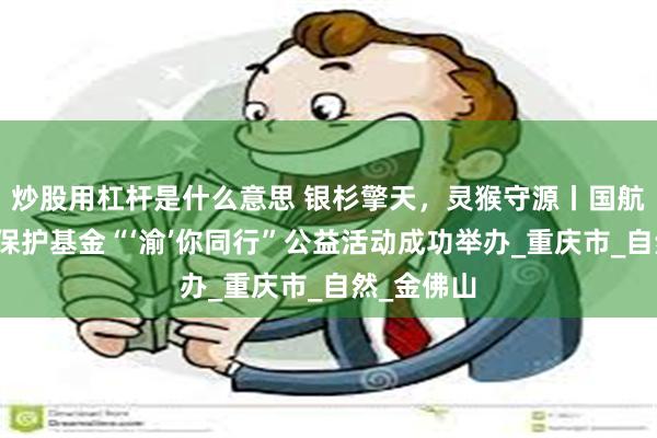 炒股用杠杆是什么意思 银杉擎天，灵猴守源丨国航长江生态保护基金“‘渝’你同行”公益活动成功举办_重庆市_自然_金佛山