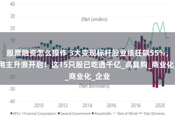 股票融资怎么操作 3大变现标杆股业绩狂飙55%，AI应用主升浪开启！这15只股已吃透千亿_高复购_商业化_企业