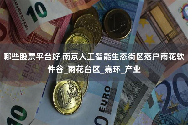 哪些股票平台好 南京人工智能生态街区落户雨花软件谷_雨花台区_嘉环_产业
