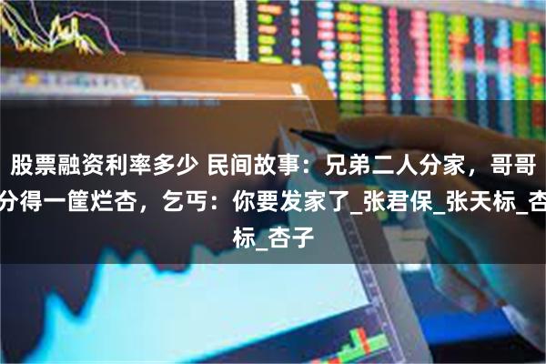 股票融资利率多少 民间故事：兄弟二人分家，哥哥只分得一筐烂杏，乞丐：你要发家了_张君保_张天标_杏子