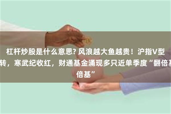 杠杆炒股是什么意思? 风浪越大鱼越贵！沪指V型反转，寒武纪收红，财通基金涌现多只近单季度“翻倍基”
